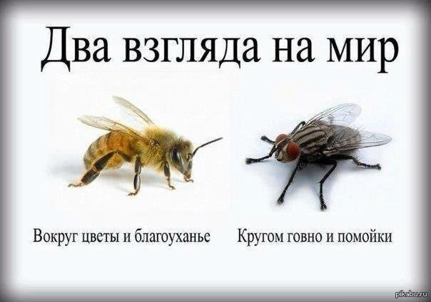 Жуткий Нью-Йорк: украинцы, золотые стейки, насилие