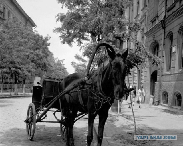 Одесса 1933г. Фото. Разгар "голодомора". Автор фото писатель Жорж Сименон