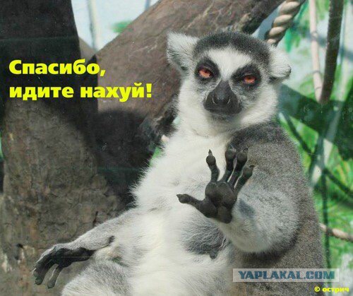 Скоро Первомай! Здравствуй ДАЧА!