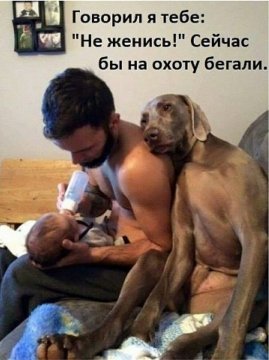 Картинки отовсюду. Часть 3 от 22 октября