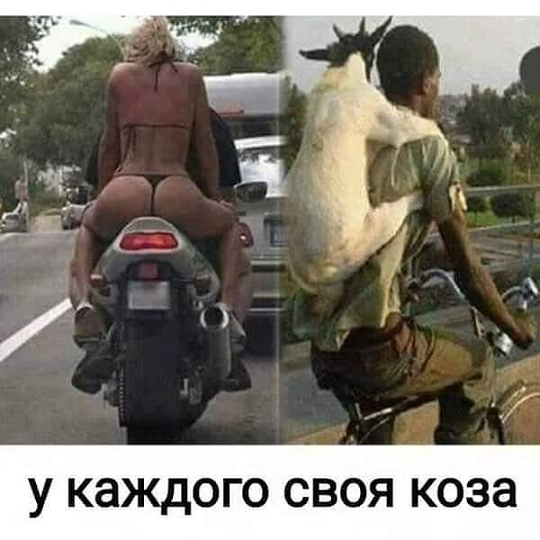 Подведём игоги