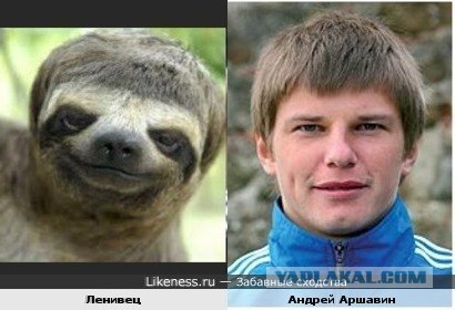 Аршавин   решил   извинится!