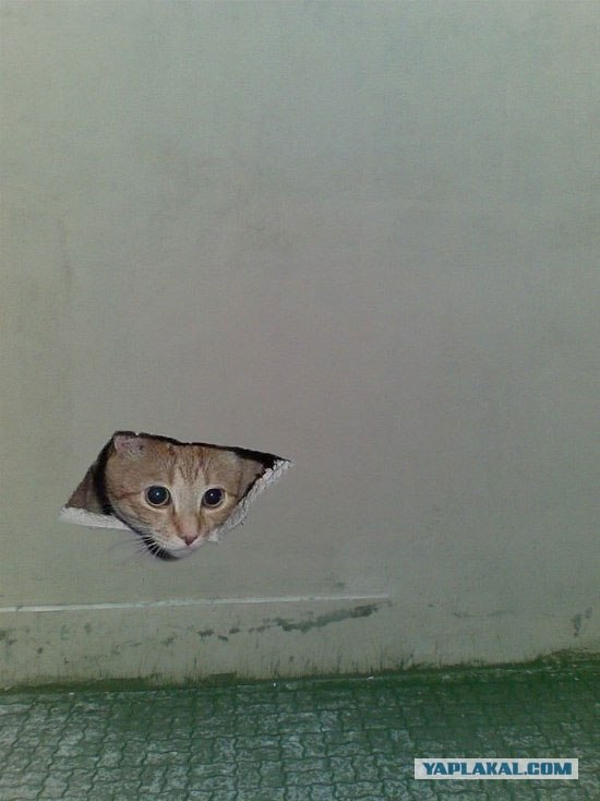 Убегающая стена