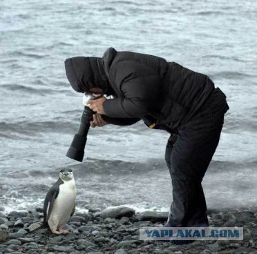 Внимательный фотограф
