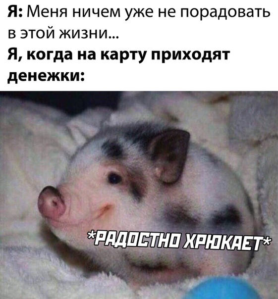 Немного картинок для настроения 23.08.20