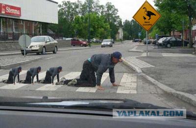 Фотожаба: ползун