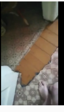 Зажал косточку, получи ппц