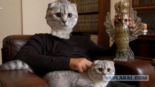 Фотожаба:Нельзя просто так взять и нарисовать СОВУ