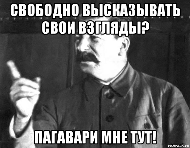 С*ка ты позорная