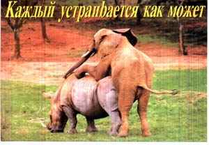 Что-то тут не так!
