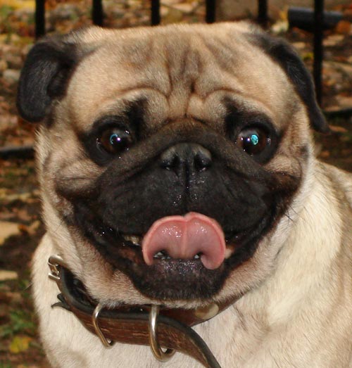 Появились кадры из Star Wars Episode 7