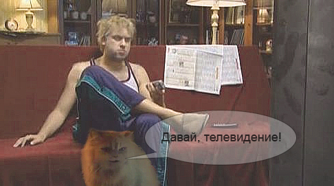 Кот комментирует передачи