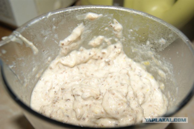 Куриный бульон для Чайников, Или «Кура-International»