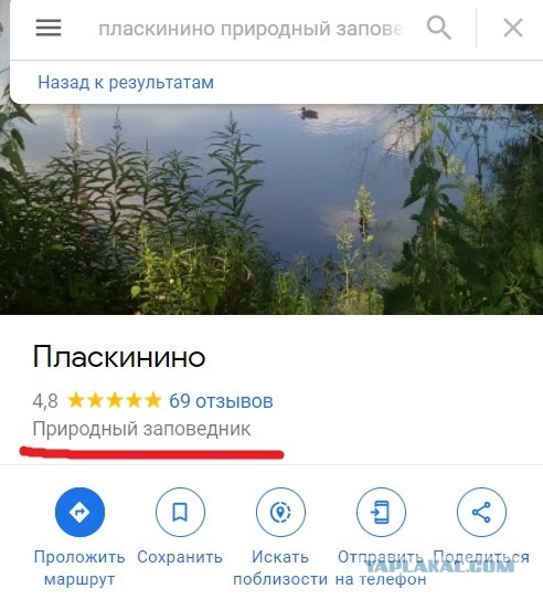 Что в головах у людей?