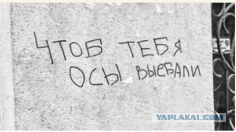Разомнем перед пятницей упоротость