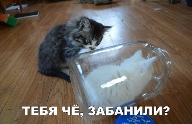 Юмор и прикольные картинки