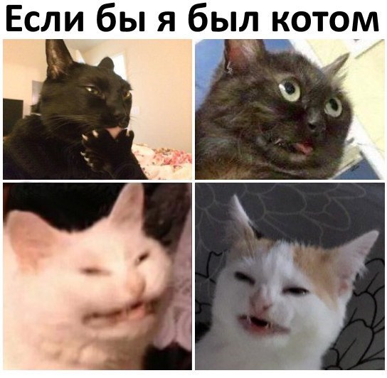 Картинки и мемы, всем прекрасных выходных