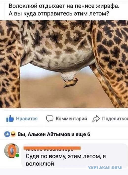 А как вы отдыхали прошлым летом?