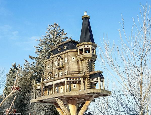 12-этажное здание в спальном районе в Самарканде