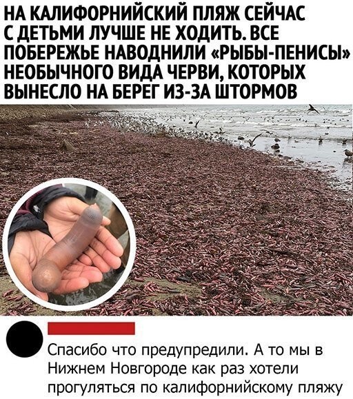 Скриншоты и комментарии из социальных сетей 17.07.22