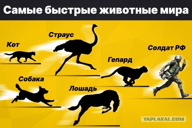 По БК в Балаклее