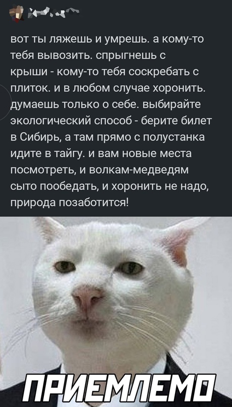 Весёлый полтишок 20.10.22