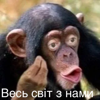 Белорусские пограничники заявили о провокации