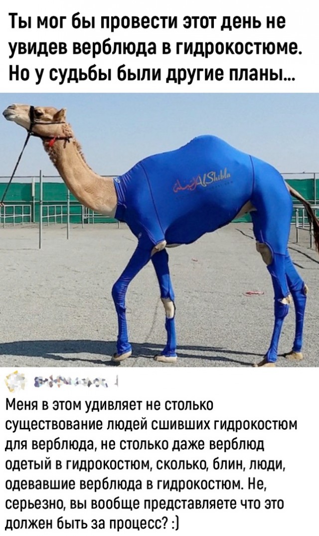 Так себе картинки 21.07.23