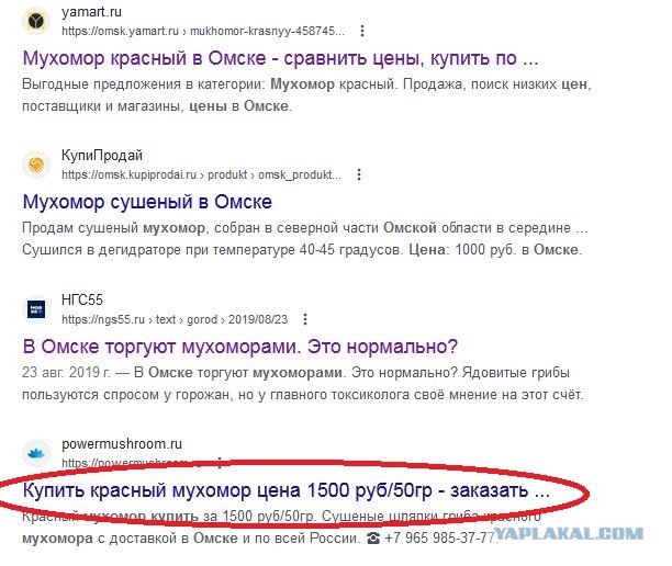 Россиян предупредили о девятилетних тюремных сроках за сбор редких грибов