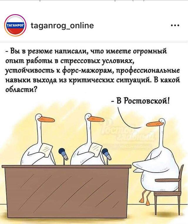 Работа в IT (бояны)