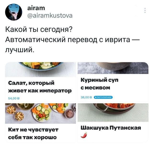 Весёлый полтишок 06.02.24