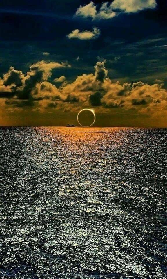 ФотоВинегрет