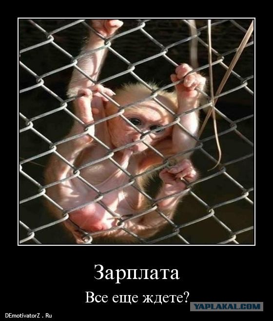 Зарплата