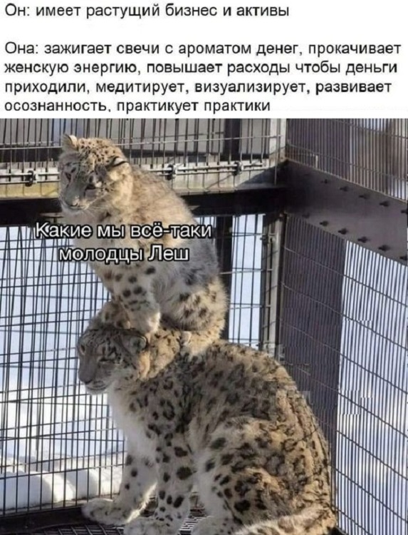 Посмеялся сам - поделись с другом!!!