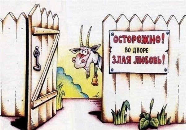 Весёлые картинки 2