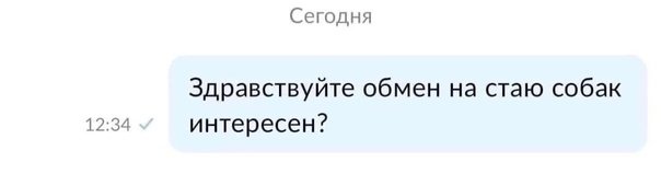 Авито у меня порвито пуканито