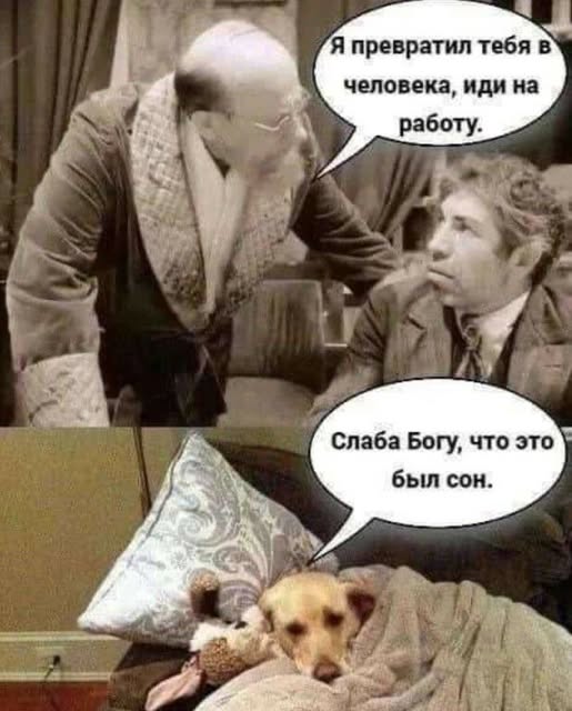 Пятничные бояны