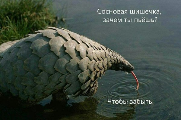 Деградация