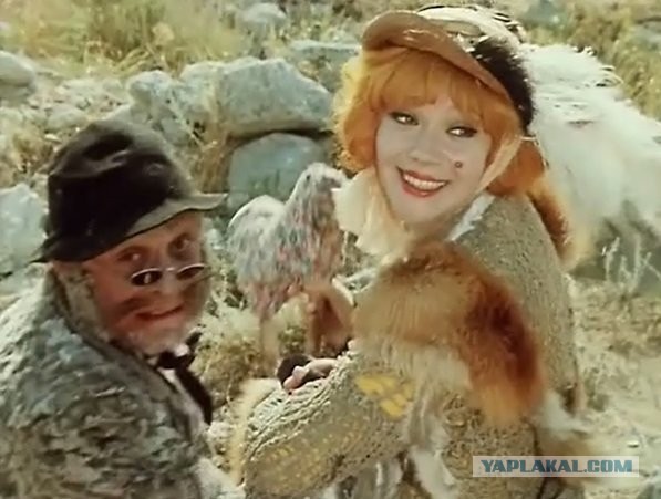 Жизнь домашнего приюта для котеек 574