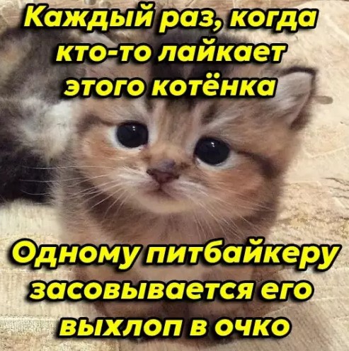 Картиночки, баянчики 19 марта
