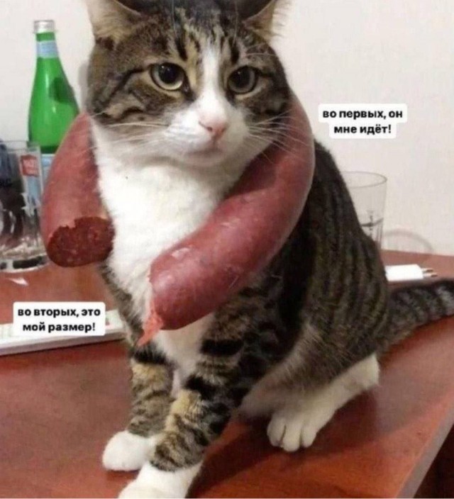 Картинки для деградации 182 (разной степени свежести)