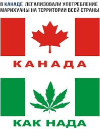 21 апреля Международный день конопли