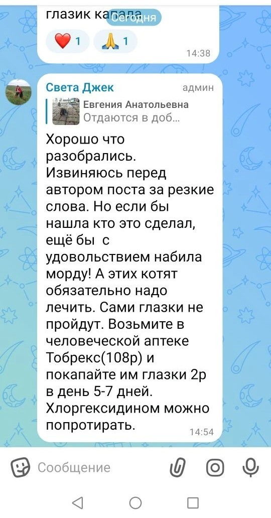 Волонтеры, а если еще и неадекватные, зло!