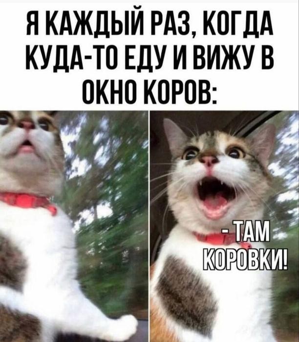 Картинки для деградации 220 (разной степени свежести)