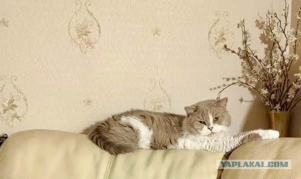 Поздравление от Лозы -в этот День категорически нельзя работать!