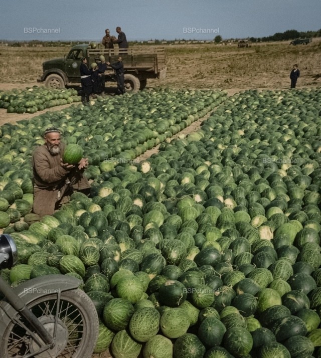 Фотохроника страны, которой больше нет