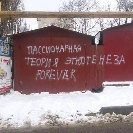 Картинки для деградации 301 (разной степени свежести)