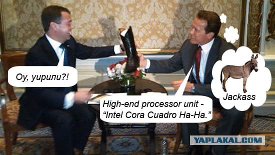 Медведев и Шварценеггер