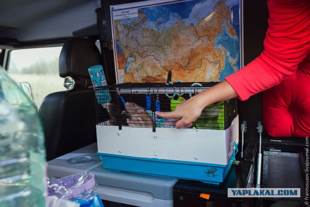 Кемпер высокой проходимости