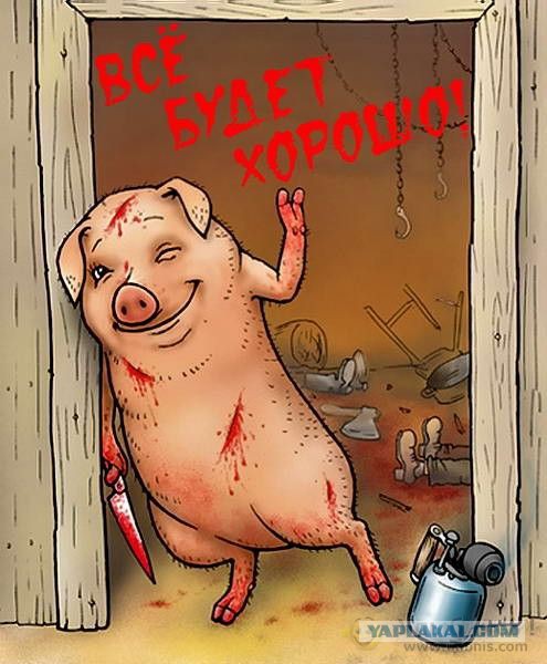 Весёлые картинки. Разбавим будни